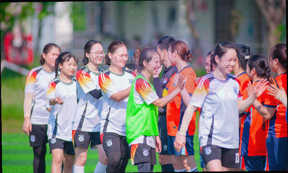 两座城市轮廓叠加形成的双城抽象画面